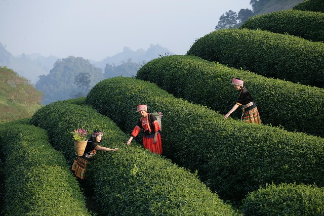 "Doğu Ekspresinde Yolculuk Nasıl Planlanır?"
