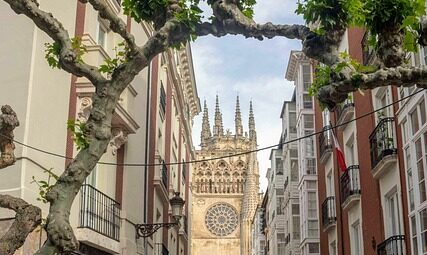 “Geleneksel Türk Sporları ve Tarihi”