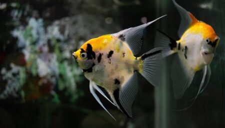 “Yaşam Başarısı İçin Zaman Yönetimi Nasıl Olmalı?”