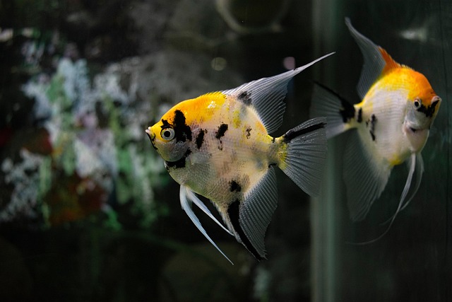 "Yaşam Başarısı İçin Zaman Yönetimi Nasıl Olmalı?"